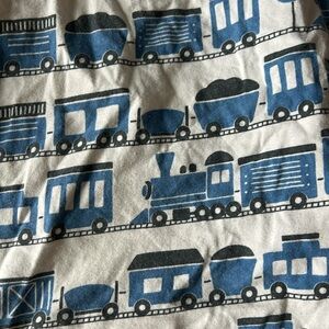 Winter Water Factory organic cotton train print crib sheet